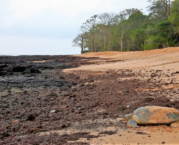 Parque Nacional Marinho João Vieira e Poilão