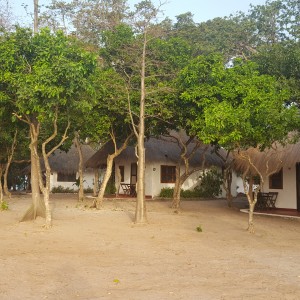 João Vieira- Maneque-Kéré João Vieira- Maneque-Kéré