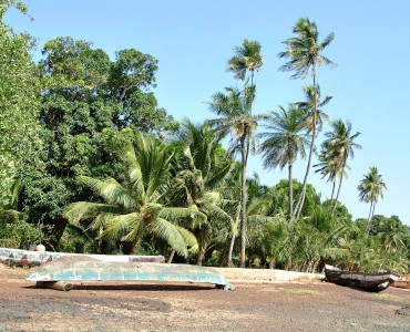 Trip to Guinea-Bissau December 2017