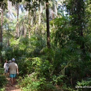 PARQUE NACIONAL de ORANGO e BAÍA de ANCUTUM PARQUE NACIONAL de ORANGO e BAÍA de ANCUTUM