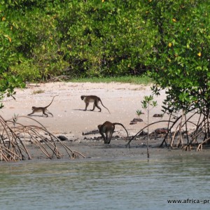 PARQUE NACIONAL de ORANGO PARQUE NACIONAL de ORANGO