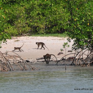 DAY 4: ORANGO NATIONAL PARK