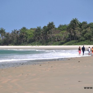 ILHAS do SUL ILHAS do SUL